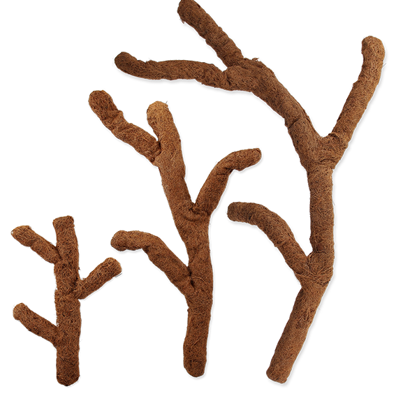 Branche de Coco Troncho pliable - Bendable Coco Troncho Branch - Magazoo,  l'Univers des Reptiles