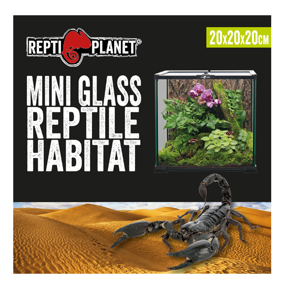 Terrariums and faunaboxes – Repti Planet